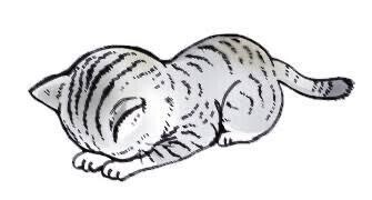 すみません😿