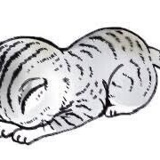 すみません😿