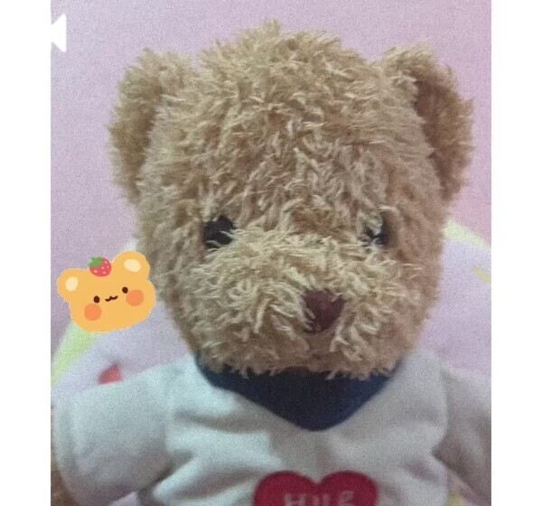 🧸