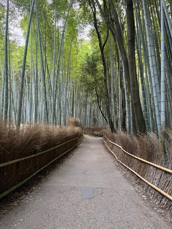 💌 一人旅お兄さん🚅 💌