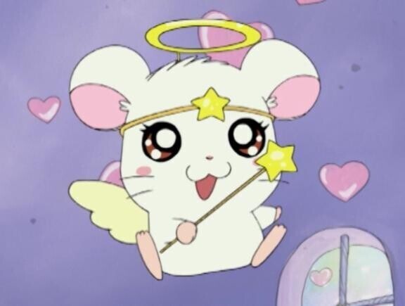きのうの