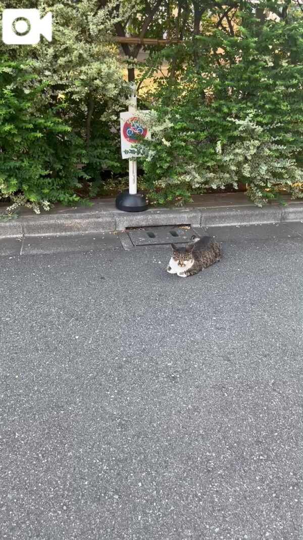 なんや？？？