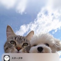 あるある？！🐥💦
