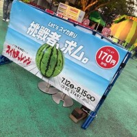 そういえば、、、