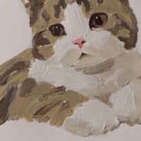 あみ