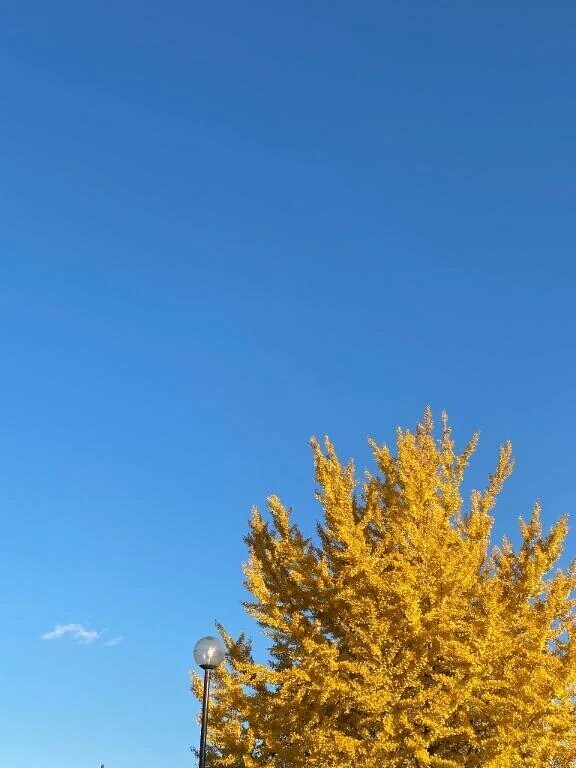 おっはー‪🔆‬