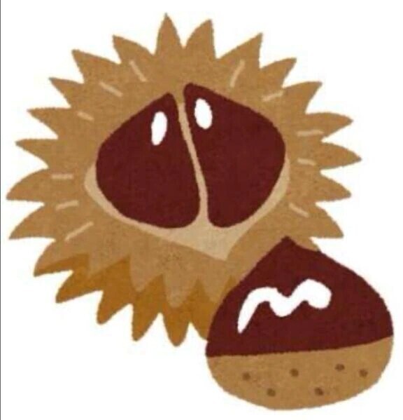 秋のきらめき🌰💘