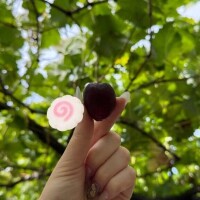 さら