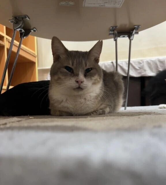 また会えるその日まで♡