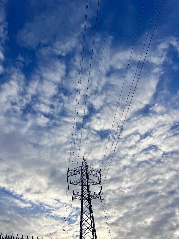 おはようございます‼️