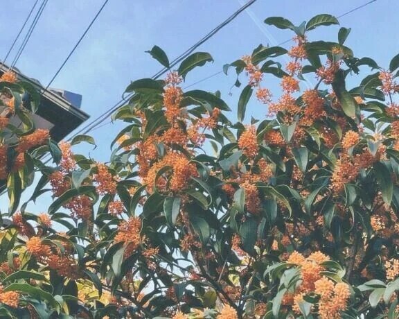 ごめんなさい😭