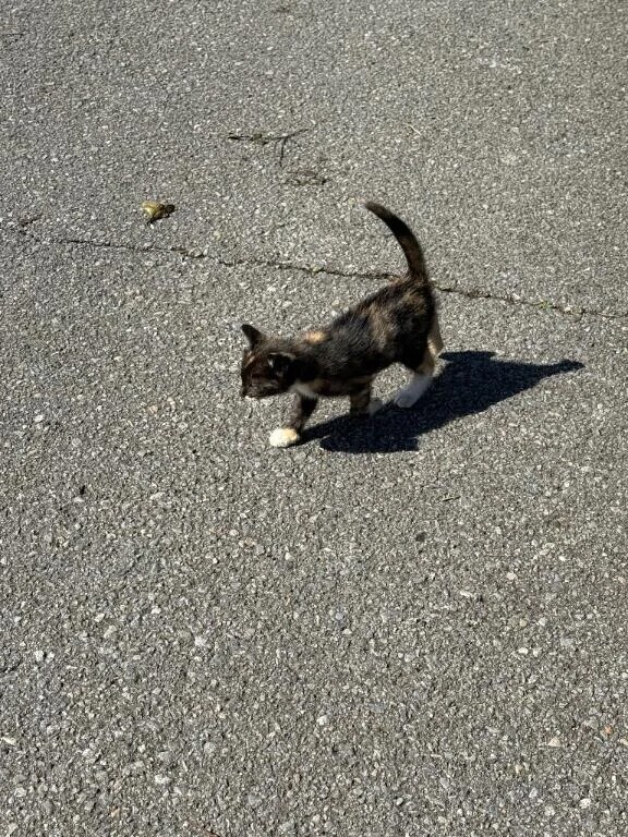 今日もありがとうごさいます🎵