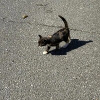 今日もありがとうごさいます🎵