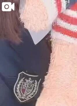 明日登校です🐻🤍