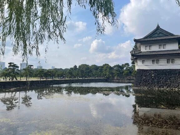 あゆみの休日日記🚶