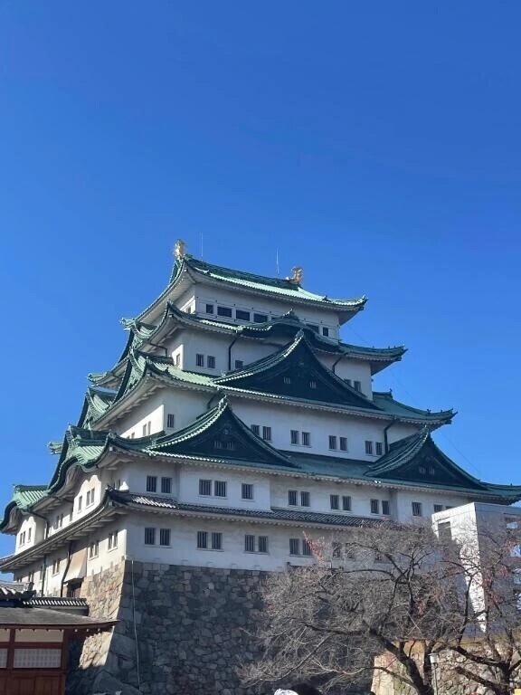 あゆみの休日日記🏯