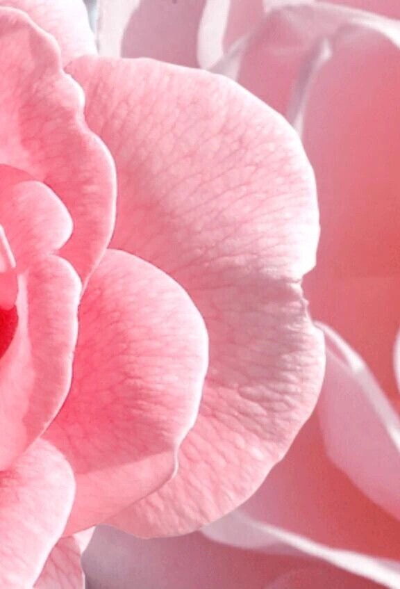 お久しぶりの予定デス