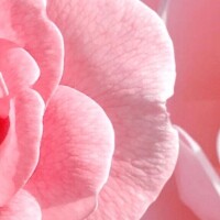 お久しぶりの予定デス