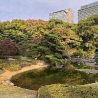 季節が変わるたび❣️