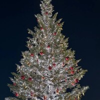 ちょっとイメージ変えました👀