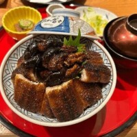 シフト上げました✨️