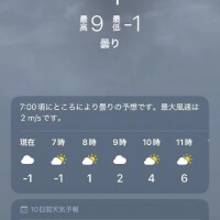 埼玉県ってこんな寒くなるんだ❄️