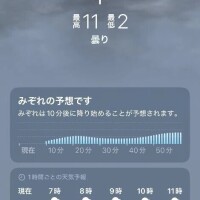 おはようございます☀️