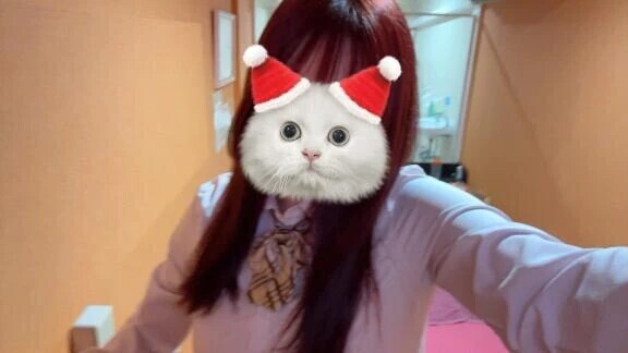 ⛩🌅🎍🐓❤️