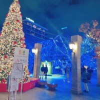 おやすみなさい🎶