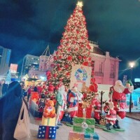 おやすみなさい🌷