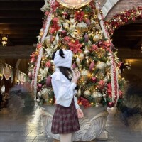 来年の登校予定~🐴🌟