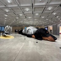 おはようございます☀️