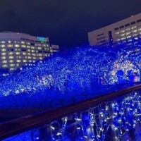 気をつけてきてね