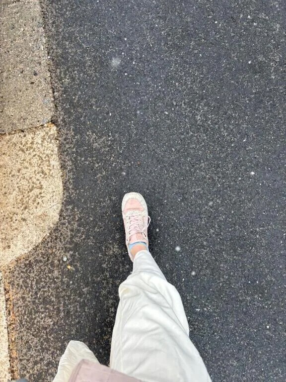 ゆきだー！！！❄️