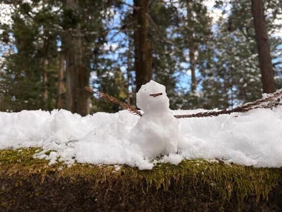 🙇‍♂️お休み頂いてます🙇‍♂️