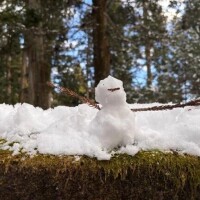 🙇‍♂️お休み頂いてます🙇‍♂️