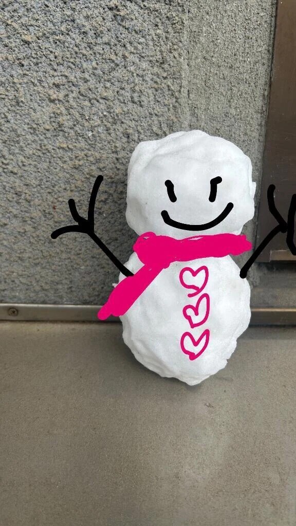 ❄️昨日の帰り道に…⛄️❄️.*˚