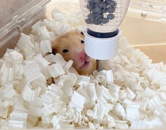 本当にごめんね