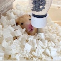 本当にごめんね