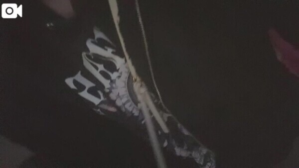 おはようございます