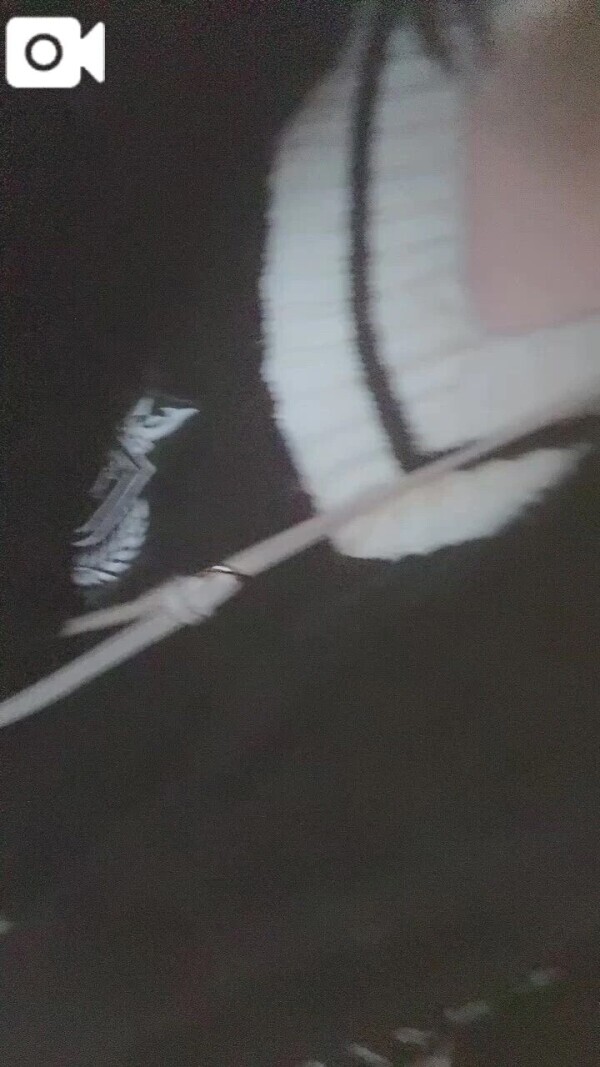 おはようございます