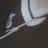 おはようございます