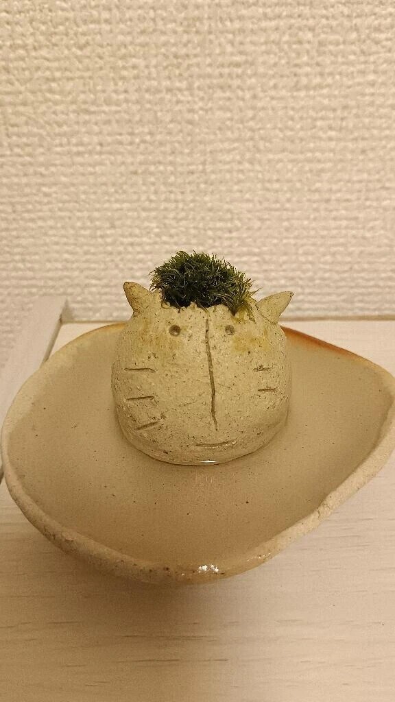 もう少し待っててね🙏