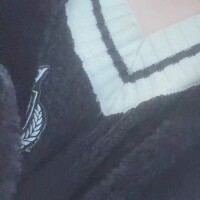 おはようございます