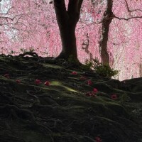 旅行してきました〜🚄