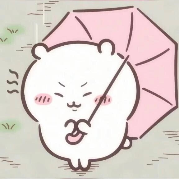 お久しぶりです🌙* :ﾟ