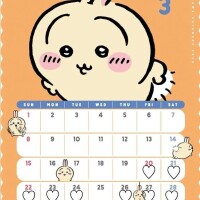 ３月の予定です🌱