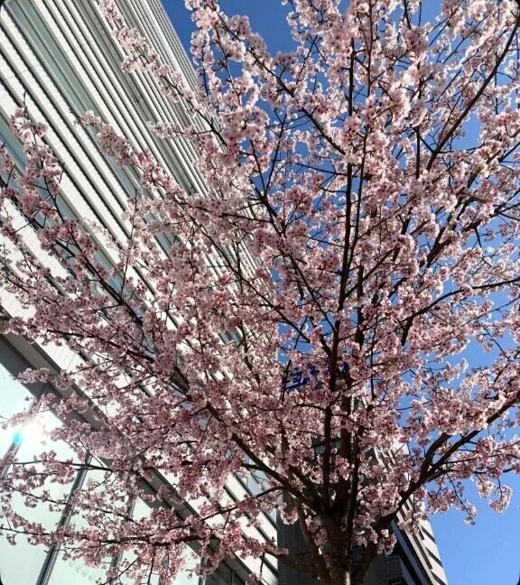 🙇🏻‍♀️‪‪