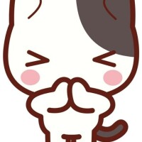 🙇‍♂️🙇‍♂️🙇‍♂️🙇‍♂️