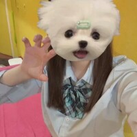 (｢´･ㅿ･`)｢ ｶﾞｵｰ♡